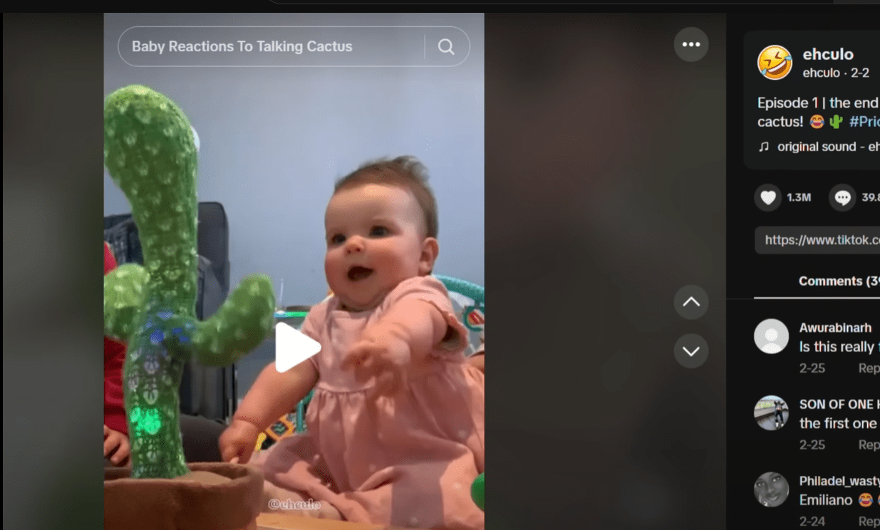 tiktok视频下载器