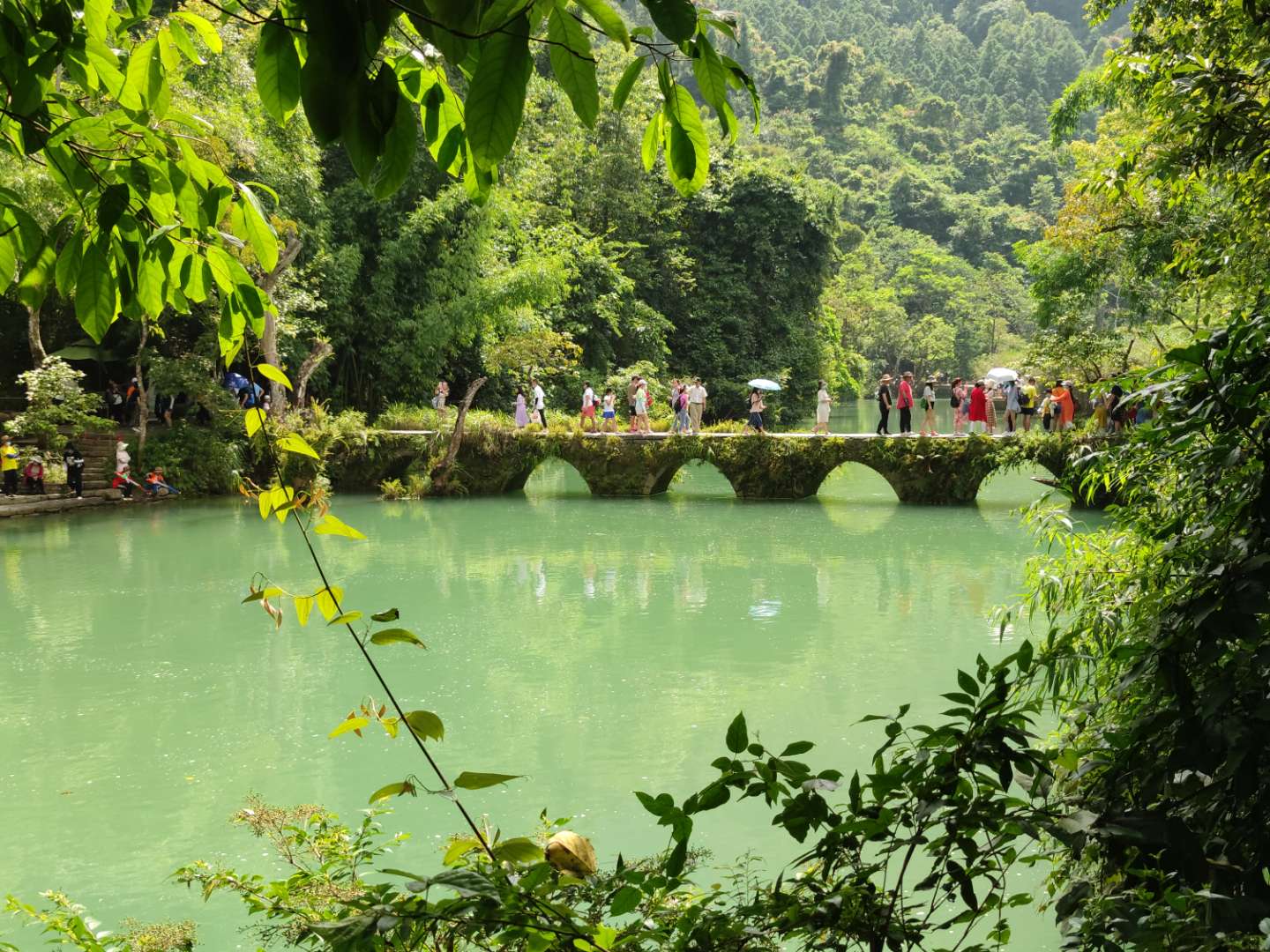 分享一个Paypal资金的消费方式