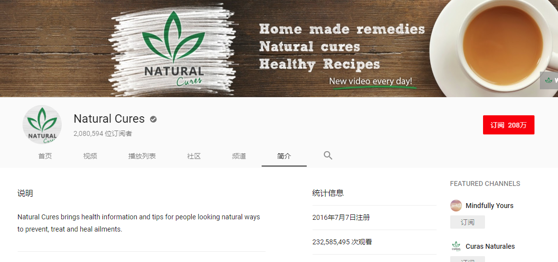 Youtube营销 案例 2