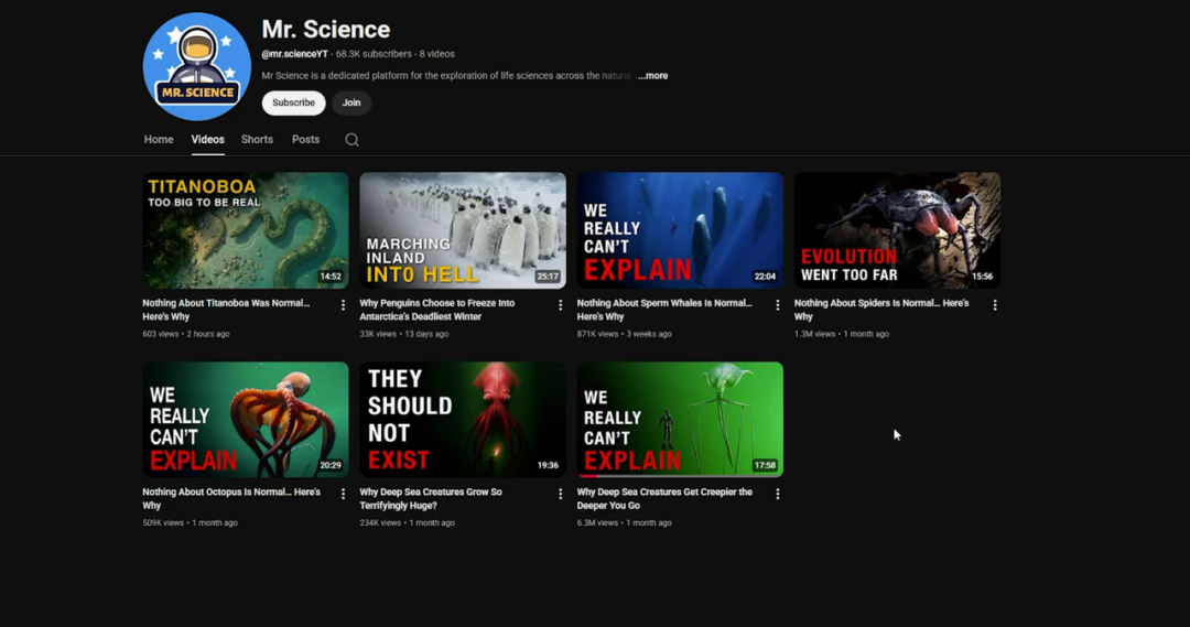 8个视频6.8万粉？如何在YouTube做一个百万播放的冷门领域